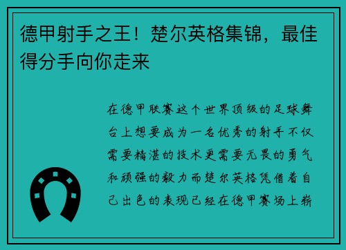 德甲射手之王！楚尔英格集锦，最佳得分手向你走来