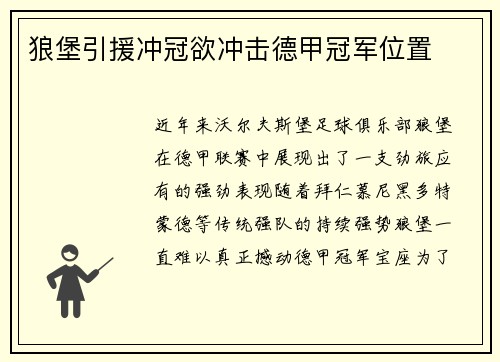 狼堡引援冲冠欲冲击德甲冠军位置