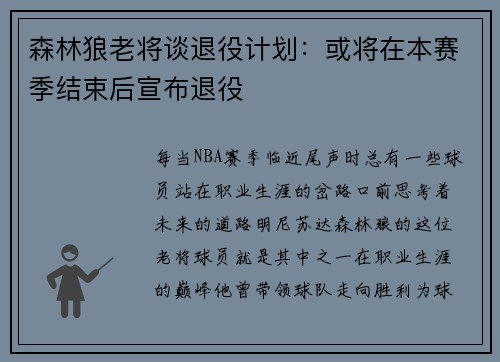 森林狼老将谈退役计划：或将在本赛季结束后宣布退役