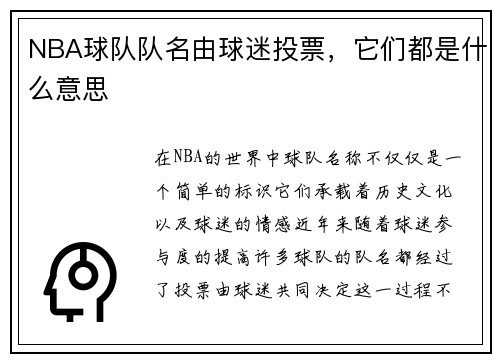 NBA球队队名由球迷投票，它们都是什么意思