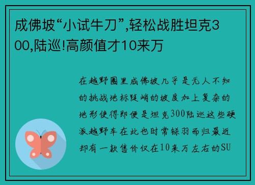 成佛坡“小试牛刀”,轻松战胜坦克300,陆巡!高颜值才10来万